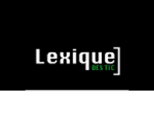 Lexique TIC / Lexique du Numérique et des Télécoms
